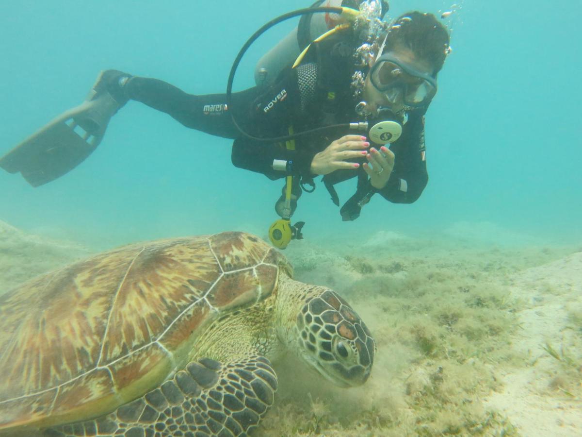 Готель Blue Vision Diving