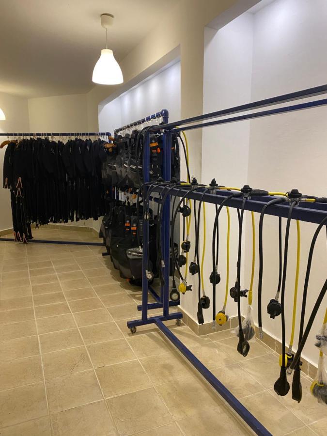 Blue Vision Diving Marsa Alem